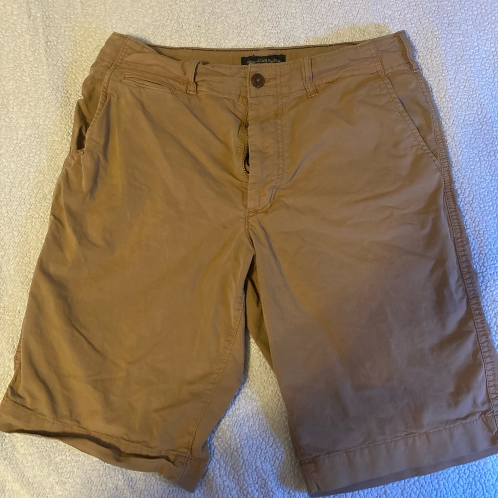 American Eagle Outfitters Brown Flat Front Shorts